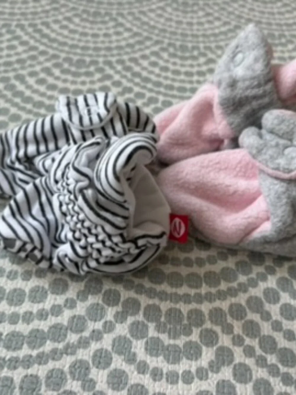 Zutano pairs baby